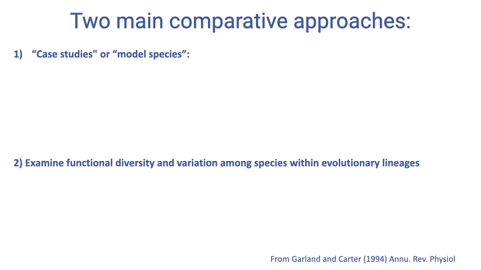 Text slide titled "Two main comparative approaches:" listing: (1) "Case studies" or "model species," and (2) Examine functional diversity and variation among species within evolutionary lineages. Reference: Garland and Carter (1994) Annual Review of Physiology.