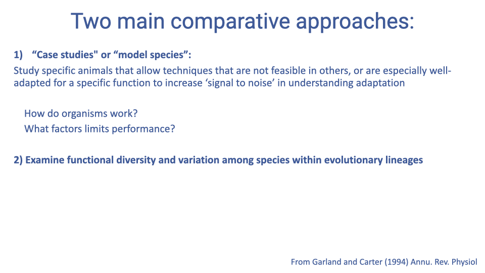Expanded version of the "Two main comparative approaches" slide now showing details under each approach. (1) "Case studies" or "model species": Study specific animals that allow techniques not feasible in others, or that are especially well-adapted for a specific function to increase "signal to noise" in understanding adaptation. Sub-questions: How do organisms work? What factors limit performance? (2) Examine functional diversity and variation among species within evolutionary lineages. Reference: Garland and Carter (1994) Annu. Rev. Physiol.
