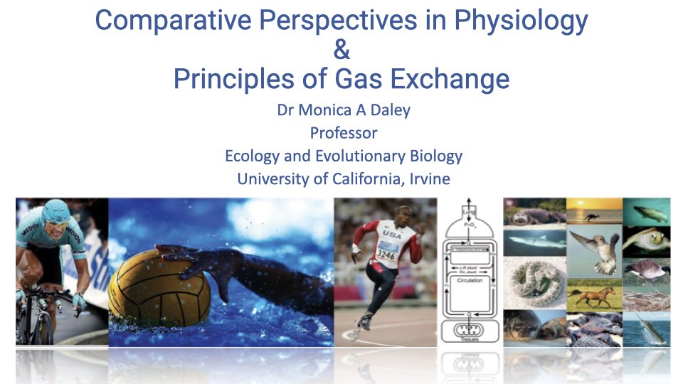 Title slide for "Comparative Perspectives in Physiology and Principles of Gas Exchange" by Dr. Monica A. Daley, Professor, Ecology and Evolutionary Biology, University of California, Irvine. Background collage shows diverse athletes and animals: a cyclist, water polo ball, sprinter, bat, bird in flight, crocodile, fish, and marine life.