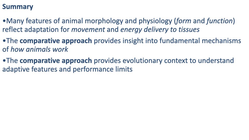 Summary slide with three bullet points: (1) Many features of animal morphology and physiology (form and function) reflect adaptation for movement and energy delivery to tissues, (2) The comparative approach provides insight into fundamental mechanisms of how animals work, (3) The comparative approach provides evolutionary context to understand adaptive features and performance limits.