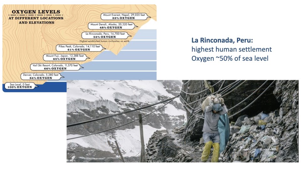 Slide showing two images. Left: an infographic titled "Oxygen levels at different locations and elevations" showing percentages of available oxygen at various altitudes from sea level (100%) to Mt. Everest (33%). Right: a photo of La Rinconada, Peru with text: "La Rinconada, Peru: highest human settlement, Oxygen ~50% of sea level." The photo shows a mining settlement at extreme altitude with a worker carrying a heavy load.