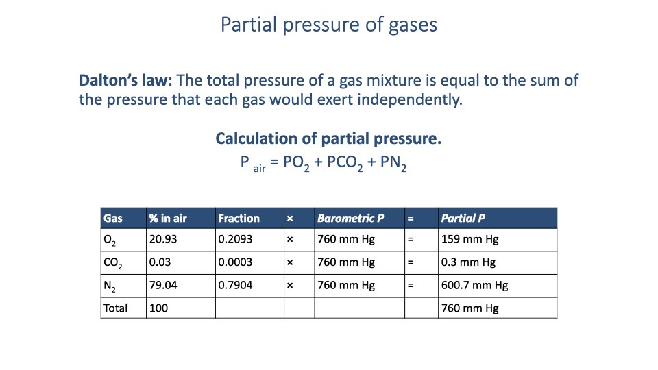 Slide titled "Partial pressure of gases" presenting Dalton's Law: "The total pressure of a gas mixture is equal to the sum of the pressure that each gas would exert independently." Shows the equation P_air = PO₂ + PCO₂ + PN₂. A table calculates partial pressures at sea level: O₂ is 20.93% (fraction 0.2093) × 760 mmHg = 159 mmHg; CO₂ is 0.03% × 760 = 0.3 mmHg; N₂ is 79.04% × 760 = 600.7 mmHg; Total = 760 mmHg.
