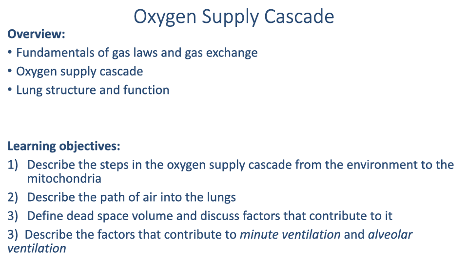 Text slide titled "Oxygen Supply Cascade" listing the overview (fundamentals of gas laws and gas exchange, oxygen supply cascade, lung structure and function) and four learning objectives: (1) Describe the steps in the oxygen supply cascade from the environment to the mitochondria, (2) Describe the path of air into the lungs, (3) Define dead space volume and discuss factors that contribute to it, (4) Describe the factors that contribute to minute ventilation and alveolar ventilation.