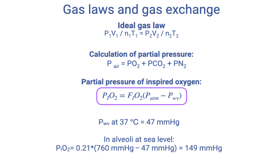 Slide titled "Gas laws and gas exchange" summarizing three key equations: the Ideal Gas Law (P₁V₁/n₁T₁ = P₂V₂/n₂T₂), the calculation of partial pressure (P_air = PO₂ + PCO₂ + PN₂), and the partial pressure of inspired oxygen equation P_IO₂ = F_IO₂(P_atm − P_wv), highlighted in a box. Below: P_wv at 37°C = 47 mmHg. Example calculation: P_IO₂ = 0.21 × (760 − 47) = 149 mmHg.