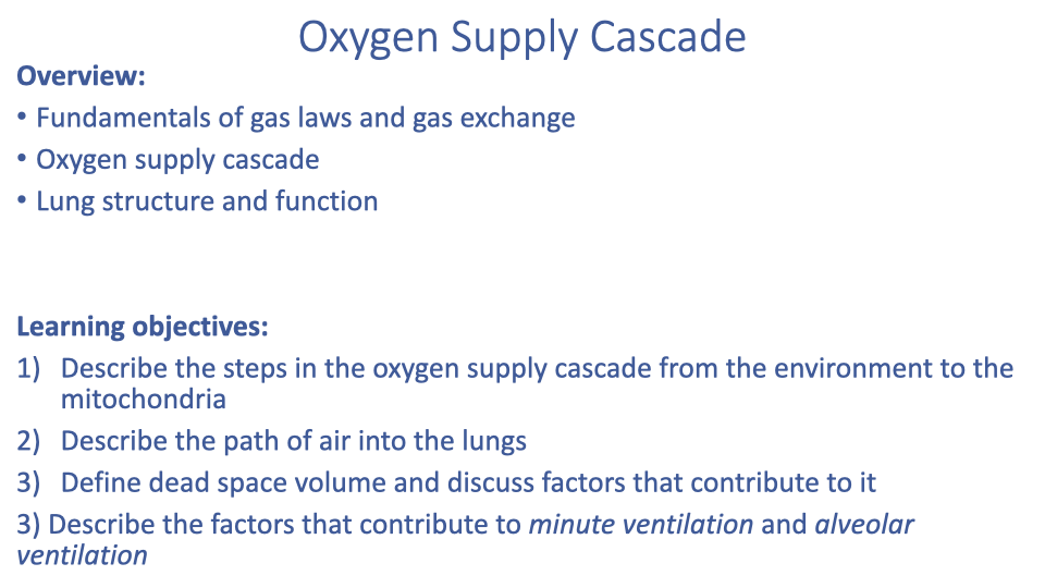 Summary slide titled "Oxygen Supply Cascade" listing the overview (fundamentals of gas laws and gas exchange, oxygen supply cascade, lung structure and function) and the same four learning objectives from Slide 2: (1) Describe the steps in the oxygen supply cascade, (2) Describe the path of air into the lungs, (3) Define dead space volume and discuss factors that contribute, (4) Describe the factors that contribute to minute ventilation and alveolar ventilation.