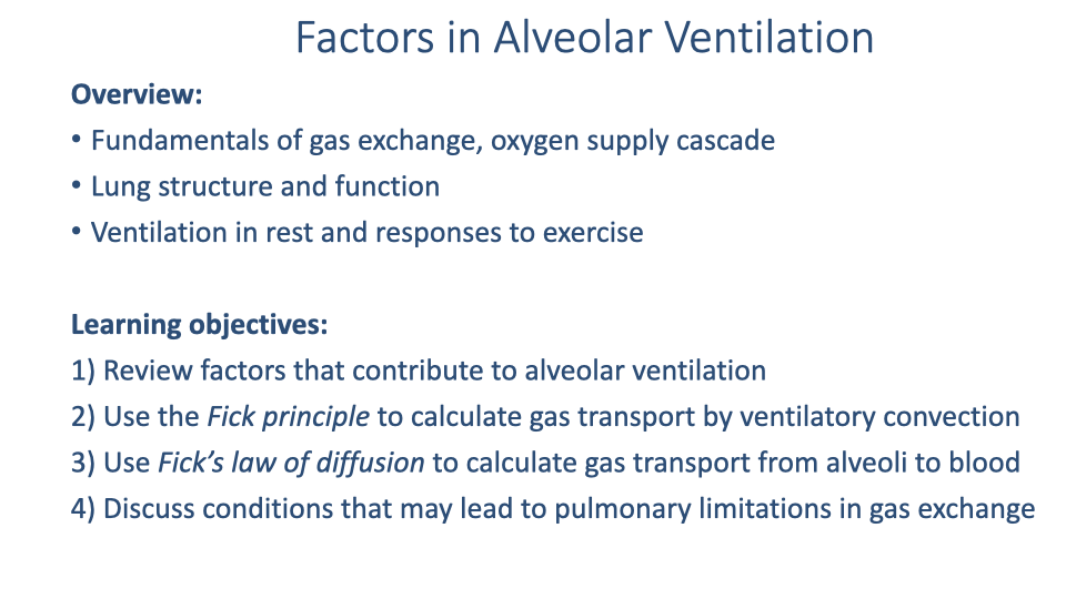 Text slide titled "Factors in Alveolar Ventilation" listing the overview (fundamentals of gas exchange, oxygen supply cascade; lung structure and function; ventilation in rest and responses to exercise) and four learning objectives: (1) Review factors that contribute to alveolar ventilation, (2) Use the Fick principle to calculate gas transport by ventilatory convection, (3) Use Fick's law of diffusion to calculate gas transport from alveoli to blood, (4) Discuss conditions that may lead to pulmonary limitations in gas exchange.