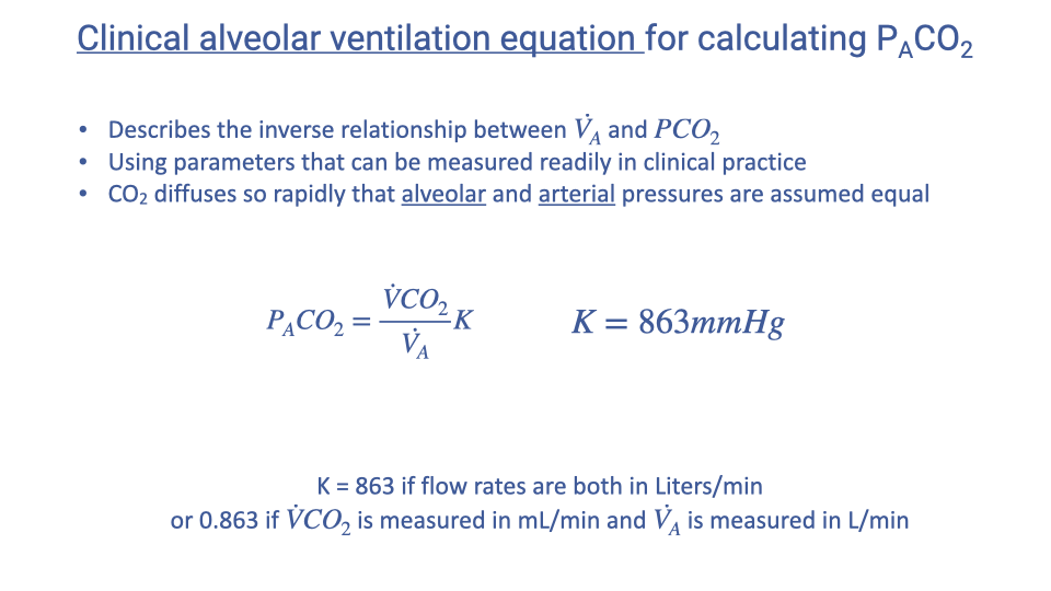 Text slide titled "Clinical alveolar ventilation equation for calculating P_ACO2." The equation P_ACO2 equals (V-dot-CO2 divided by V-dot-A) times K, where K equals 863 mmHg, is shown. Bullet points describe the inverse relationship between alveolar ventilation rate and carbon dioxide partial pressure, using parameters that can be measured readily in clinical practice. CO2 diffuses so rapidly that alveolar and arterial pressures are assumed equal. A note states K equals 863 if flow rates are both in L/min, or K equals 0.863 if V-dot-CO2 is in mL/min and V-dot-A is in L/min.
