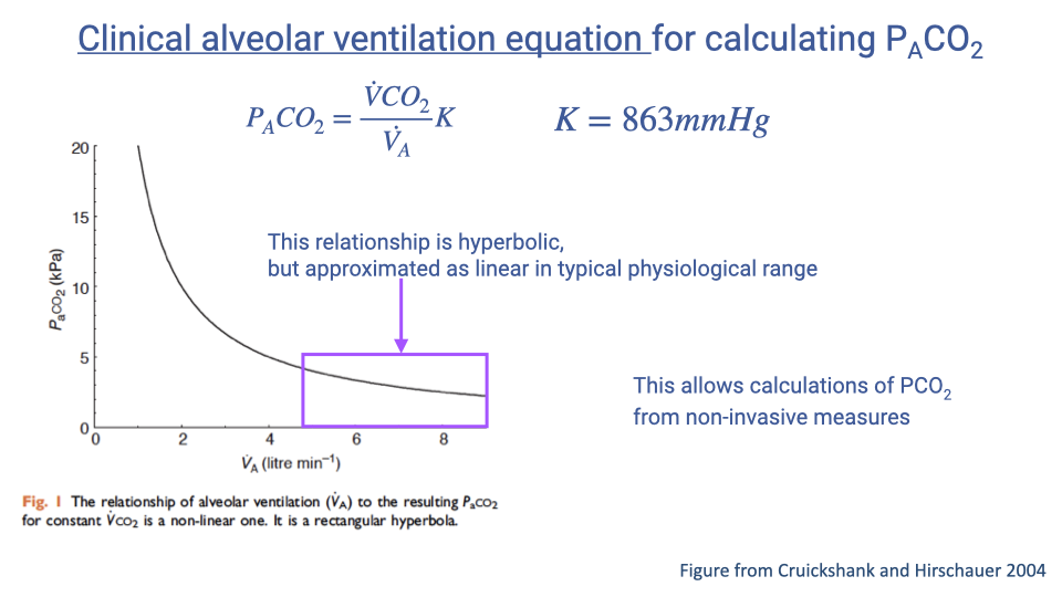 Slide titled "Clinical alveolar ventilation equation for calculating P_ACO2" showing the equation P_ACO2 equals (V-dot-CO2 divided by V-dot-A) times K, where K equals 863 mmHg. Below is a graph from Cruickshank and Hirschauer 2004 plotting alveolar ventilation (L/min, x-axis) against P_ACO2 (mmHg, y-axis). The curve is hyperbolic, but a note indicates that the relationship is approximately linear within the typical physiological range. This allows calculation of PCO2 from non-invasive measures.