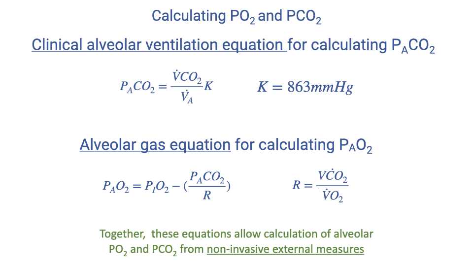 Summary slide titled "Calculating PO2 and PCO2" showing both clinical equations together. The clinical alveolar ventilation equation for P_ACO2: P_ACO2 equals (V-dot-CO2 divided by V-dot-A) times K, where K equals 863 mmHg. The alveolar gas equation for P_AO2: P_AO2 equals P_IO2 minus (P_ACO2 divided by R), where R equals V-dot-CO2 divided by V-dot-O2. A note in green text states: "Together, these equations allow calculation of alveolar PO2 and PCO2 from non-invasive external measures."