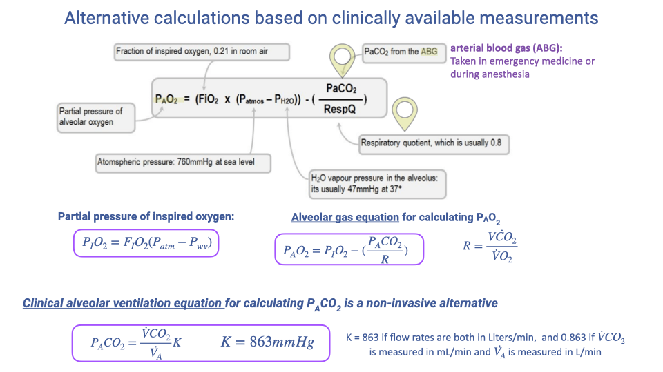 Slide titled "Alternative calculations based on clinically available measurements" showing a flow chart of how various clinically measurable values connect to calculate alveolar gas partial pressures. At the top: fraction of inspired oxygen (0.21 at sea level) and barometric pressure (760 mmHg at sea level) combine to give partial pressure of inspired oxygen. Separately, arterial blood gas (ABG) provides P_aCO2. Pulse oximetry provides oxygen saturation (SpO2). The partial pressure of inspired O2 feeds into both the alveolar gas equation for P_AO2 and the clinical alveolar ventilation equation. The equations and constants K equals 863 mmHg are shown.