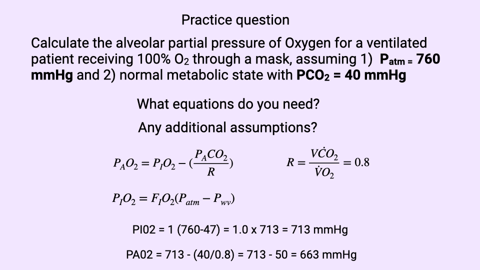 Slide titled "Practice question" presenting a worked example: Calculate the alveolar partial pressure of oxygen for a ventilated patient receiving 100 percent O2 through a mask, assuming P_atm equals 760 mmHg and a normal metabolic state with PCO2 equals 40 mmHg. The slide prompts the student to identify what equations are needed and what additional assumptions must be made. Two equations are shown: the alveolar gas equation P_AO2 equals P_IO2 minus the quantity P_ACO2 divided by R, with R equal to V-dot-CO2 divided by V-dot-O2 and approximately 0.8; and the inspired O2 equation P_IO2 equals F_IO2 times the quantity P_B minus P_w (water vapor pressure). The worked solution shows P_IO2 equals 1 times (760 minus 47) equals 713 mmHg, and P_AO2 equals 713 minus (40 divided by 0.8) equals 713 minus 50 equals 663 mmHg.