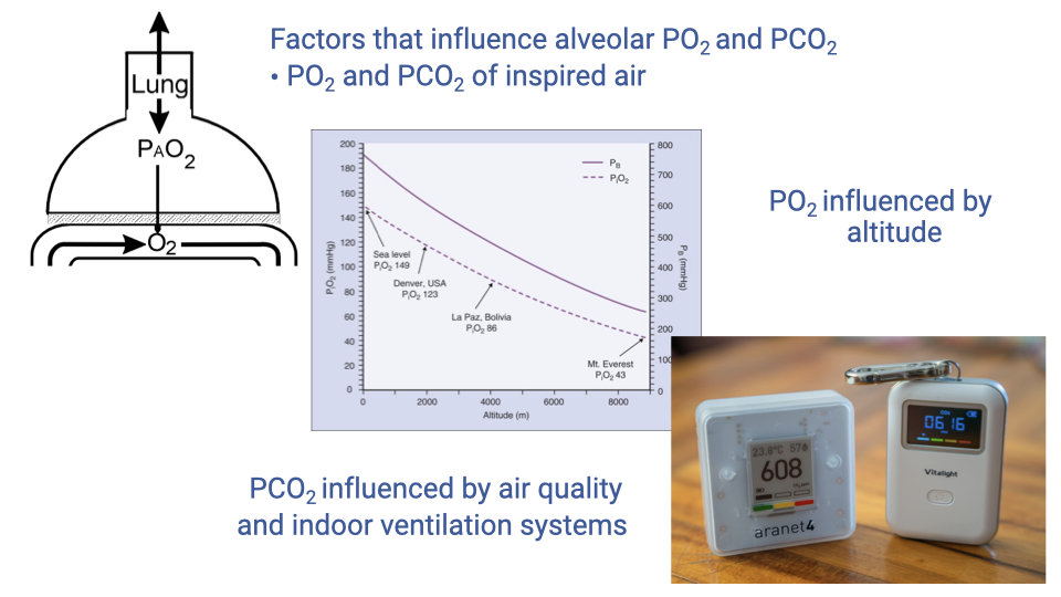 Slide showing factors that influence alveolar PO2 and PCO2. A photo of a bell jar lung model is shown alongside a graph of PO2 versus altitude, and images of indoor CO2 monitors. The PO2 of inspired air is influenced by altitude; the PCO2 is influenced by air quality and indoor ventilation systems.