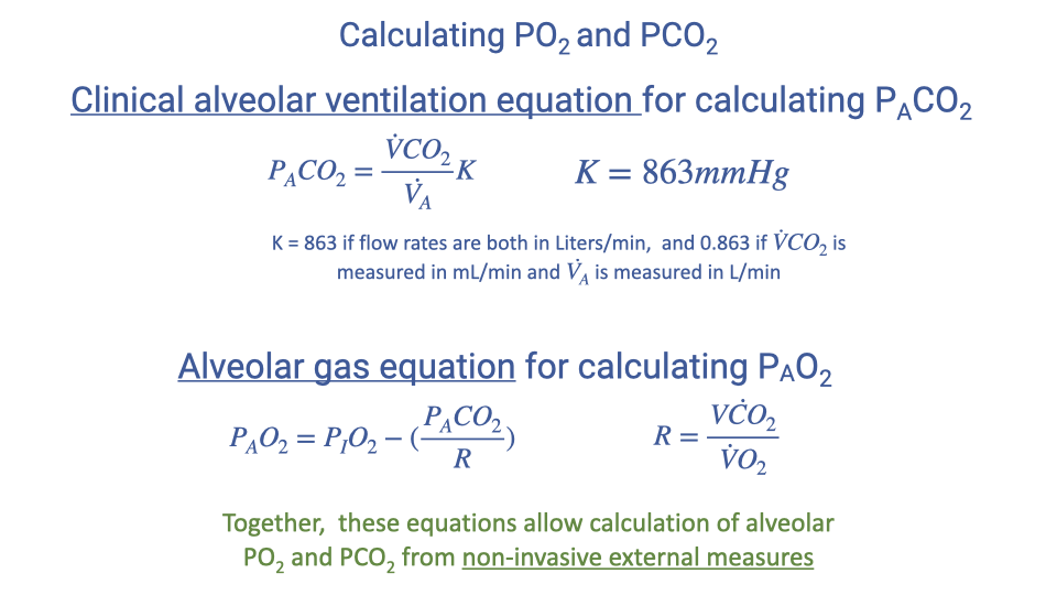 Slide titled "Calculating PO2 and PCO2" showing two equations. The clinical alveolar ventilation equation for calculating PACO2: PACO2 = (VCO2 / VA) times K, where K = 863 mmHg (a constant depending on units when flow rates are in L/min BTPS and VCO2 is in mL/min STPD). Below, the alveolar gas equation for calculating PAO2: PAO2 = PIO2 minus (PACO2 / R) times a correction factor. Together these equations allow calculation of alveolar PO2 and PCO2 from non-invasive external measures.