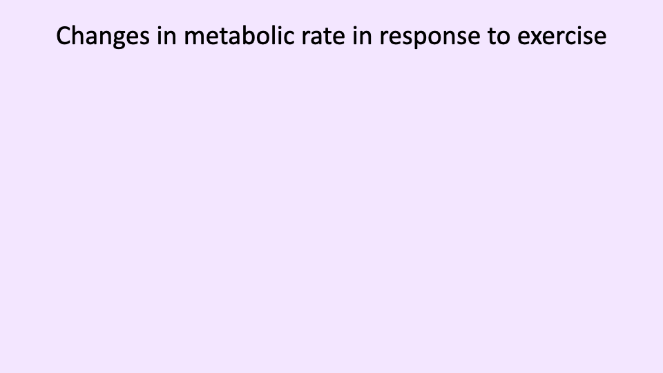 Section title slide with a lavender background reading "Changes in metabolic rate in response to exercise."