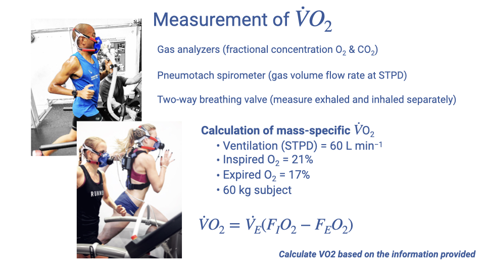 Slide titled "Measurement of VO2" showing a photo of a subject exercising on a treadmill while wearing a face mask connected to metabolic measurement equipment. The slide lists three required components: gas analyzers (fractional concentration of O2 and CO2), a pneumotachometer (gas volume flow rate at STPD), and two-way breathing valves (to measure exhaled and inhaled air separately). Below is a worked example: ventilation (STPD) = 60 L/min, inspired O2 = 21%, expired O2 = 17%, subject mass = 60 kg. The equation VO2 = VE times (FIO2 minus FEO2) is shown, with the prompt "Calculate VO2 based on the information provided."
