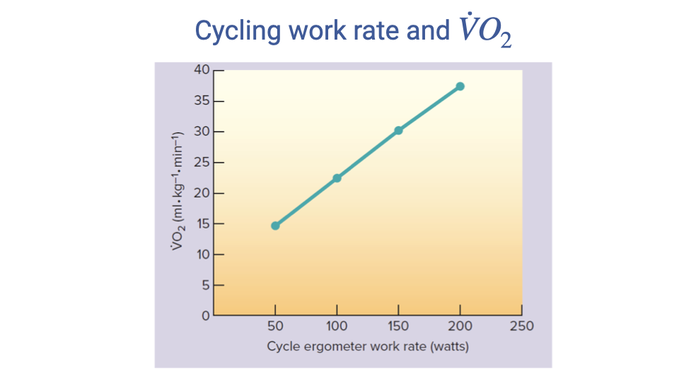 Graph titled "Cycling work rate and VO2." The x-axis shows cycle ergometer work rate in watts (50 to 250), and the y-axis shows VO2 in mL/kg/min (0 to 40). A teal line with data points shows an approximately linear increase in VO2 from about 15 mL/kg/min at 50 watts to about 37 mL/kg/min at 200 watts.