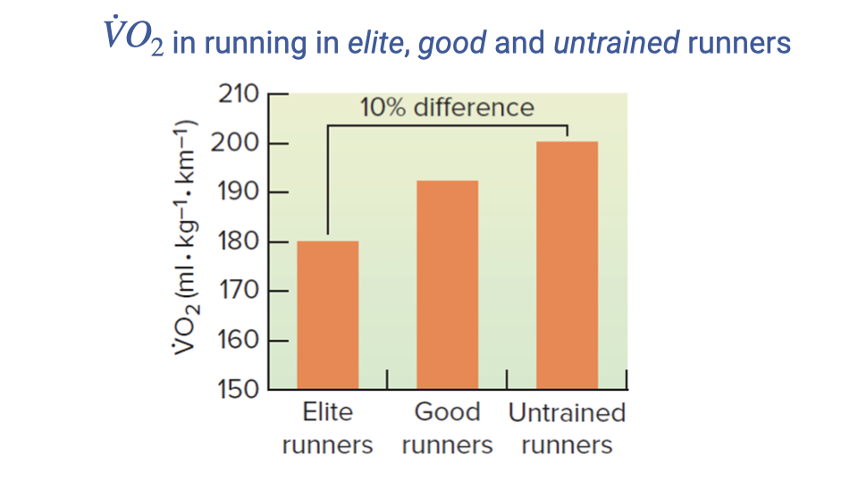 Bar chart titled "VO2 in running in elite, good, and untrained runners." The y-axis shows VO2 in mL/kg/km (150 to 210). Three orange bars are shown: elite runners (~180), good runners (~192), and untrained runners (~200). A bracket indicates a 10% difference between elite and untrained runners. Elite runners have the lowest metabolic cost per kilometer.