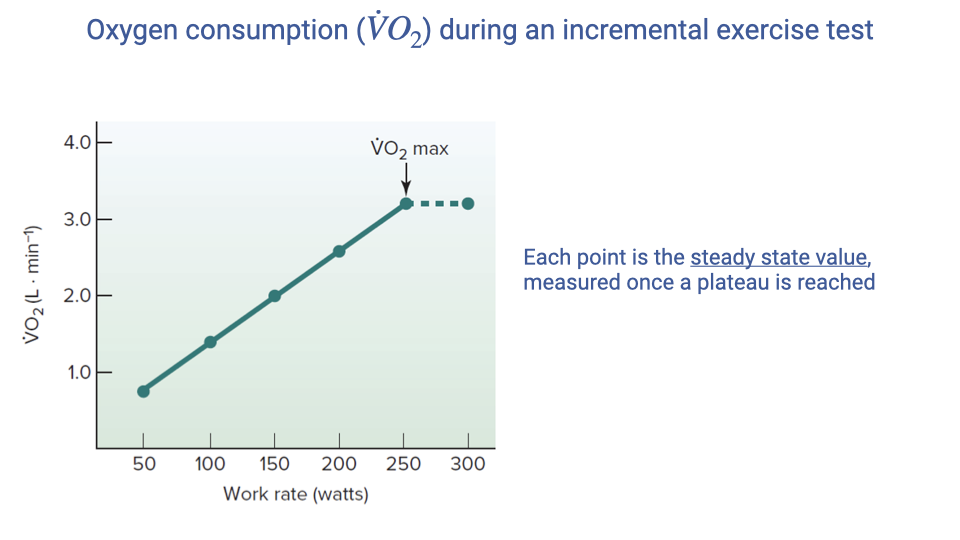 Graph titled "Oxygen consumption (VO2) during an incremental exercise test." The x-axis shows work rate in watts (50 to 300), and the y-axis shows VO2 in L/min (approximately 0.8 to 4.0). Data points connected by a green line show a linear increase in steady-state VO2 up to approximately 200 watts, where the curve begins to flatten. A dashed line above the plateau is labeled "VO2 max." Text notes that each point is the steady state value measured once a plateau is reached.