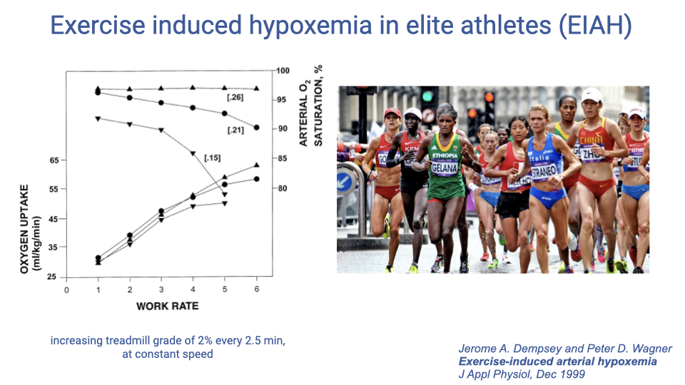 Slide titled "Exercise induced hypoxemia in elite athletes (EIAH)." Left: Two graphs from Dempsey and Wagner (1999, J Appl Physiol). The top graph shows oxygen uptake and arterial O2 saturation versus work rate under three conditions: hyperoxia (FIO2 = 0.26), normoxia (FIO2 = 0.21), and hypoxia (FIO2 = 0.15). Arterial saturation drops at high work rates in normoxia and at lower work rates in hypoxia, but is corrected by supplemental oxygen. Right: A photo of elite female distance runners competing in a race.