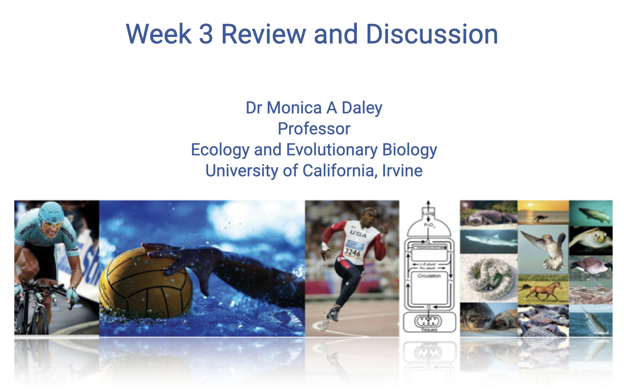 Title slide for "Week 3 Review and Discussion" by Dr. Monica A. Daley, Professor, Ecology and Evolutionary Biology, University of California, Irvine. Background collage shows diverse animals and humans exercising: a cyclist, water polo ball, speed skater, sea turtle, horse, parrot, fish, and runners.