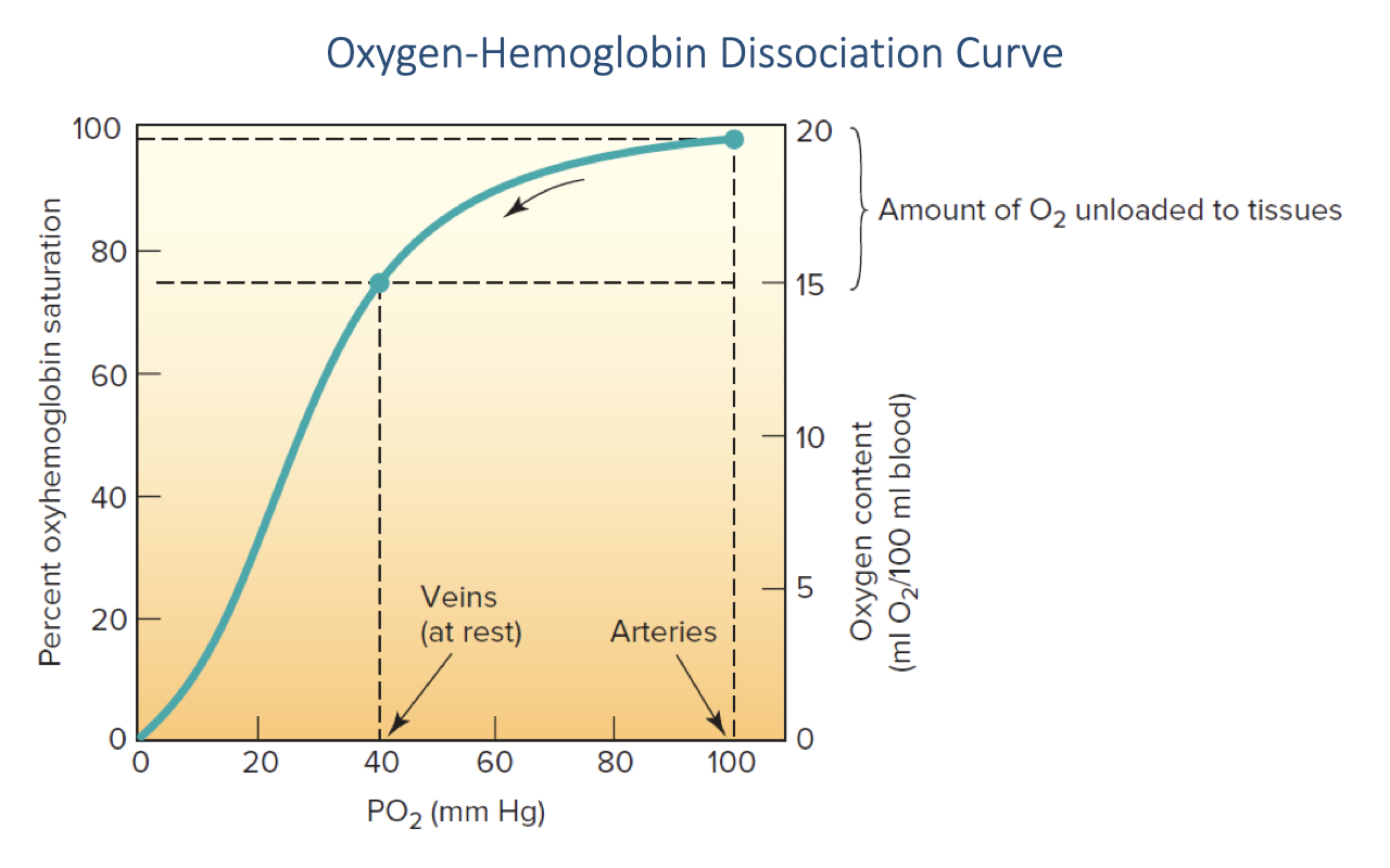 Graph titled "Oxygen-Hemoglobin Dissociation Curve" showing the same sigmoid curve. Left y-axis: percent oxyhemoglobin saturation from 0 to 100. Right y-axis: oxygen content in mL O2 per 100 mL blood from 0 to 20. X-axis: PO2 in mmHg from 0 to 100. Two vertical dashed reference lines identify typical operating points: "Veins (at rest)" at PO2 ≈ 40 mmHg, intersecting the curve at about 75% saturation and about 15 mL O2/100 mL blood; and "Arteries" at PO2 ≈ 100 mmHg, intersecting the curve at about 98% saturation and about 20 mL O2/100 mL blood. A bracket on the right side labeled "Amount of O2 unloaded to tissues" spans between the two points.