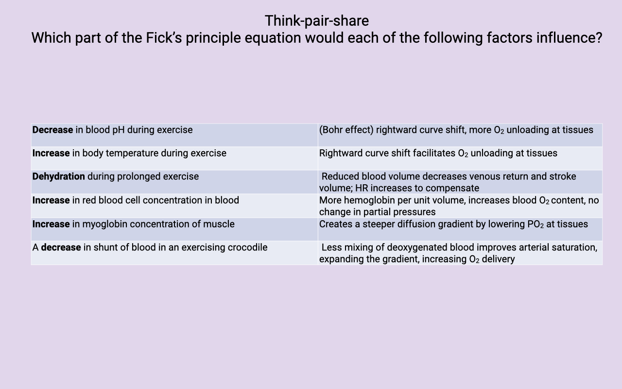 Table titled "Think-pair-share: Which part of the Fick's principle equation would each of the following factors influence?" with two columns. Left column lists factors: decrease in blood pH during exercise; increase in body temperature during exercise; dehydration during prolonged exercise; increase in red blood cell concentration in blood; increase in myoglobin concentration of muscle; a decrease in shunt of blood in an exercising crocodile. Right column lists the effects: Bohr effect right-shift, more O2 unloading at tissues; right-shift facilitates O2 unloading at tissues; reduced blood volume decreases venous return and stroke volume, HR increases to compensate; more hemoglobin per unit volume increases blood O2 content with no change in partial pressures; creates a steeper diffusion gradient by lowering PO2 at tissues; less mixing of deoxygenated blood improves arterial saturation, expanding the gradient and increasing O2 delivery.