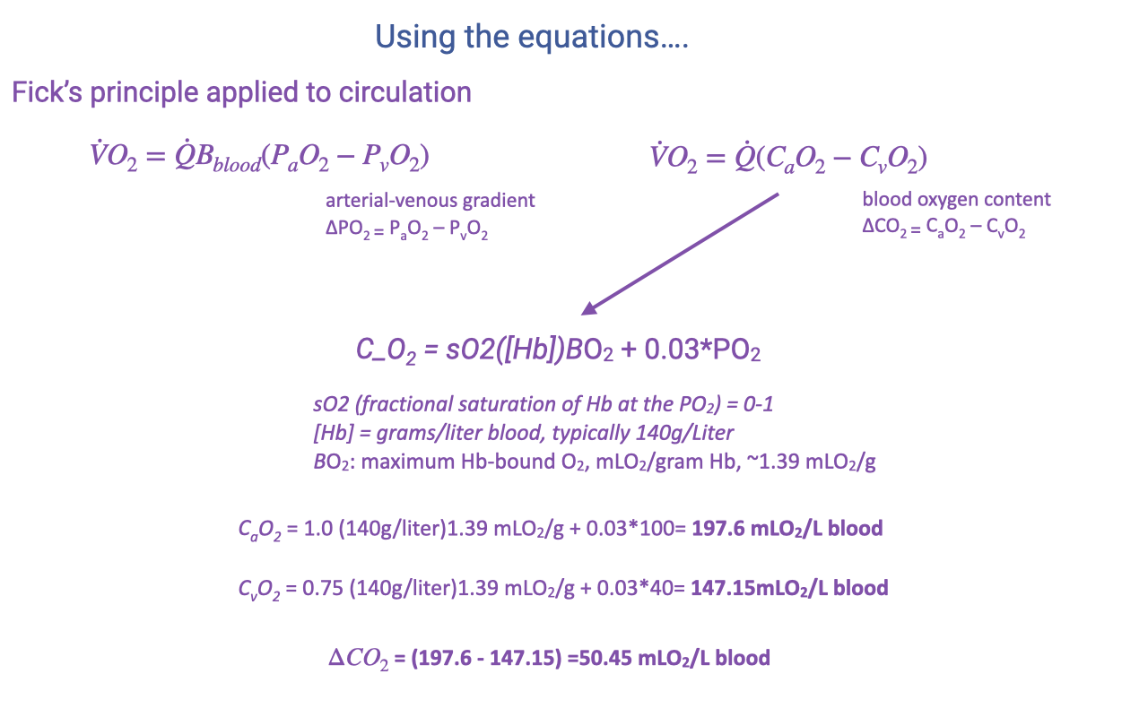 Slide titled "Using the equations...." showing the derivation of the blood-content form of the Fick principle. Top row: two forms of Fick's principle applied to circulation, VO2 = Q̇·Bblood·(PaO2 − PvO2) with "arterial-venous gradient ΔPO2 = PaO2 − PvO2," and VO2 = Q̇(CaO2 − CvO2) with "blood oxygen content ΔCO2 = CaO2 − CvO2." A purple arrow points down to an expanded expression: C_O2 = sO2·[Hb]·BO2 + 0.03·PO2, with coefficient definitions listed: sO2 is the fractional saturation of Hb at the given PO2 (range 0 to 1); [Hb] is hemoglobin concentration in grams per liter of blood (typical value 140 g/L); BO2 is the maximum Hb-bound O2 in mL O2 per gram of Hb (~1.39 mL O2/g). Worked examples: arterial CaO2 = 1.0·(140)·1.39 + 0.03·100 = 197.6 mL O2/L blood; venous CvO2 = 0.75·(140)·1.39 + 0.03·40 = 147.15 mL O2/L blood; ΔCO2 = (197.6 − 147.15) = 50.45 mL O2/L blood.