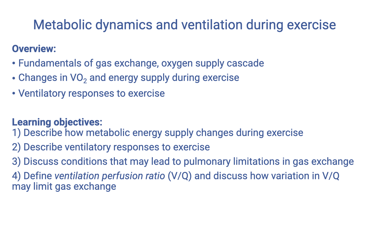 Text slide titled "Metabolic dynamics and ventilation during exercise" listing an overview (fundamentals of gas exchange and the oxygen supply cascade; changes in VO2 and energy supply during exercise; ventilatory responses to exercise) and four learning objectives covering metabolic energy supply changes, ventilatory responses, pulmonary limitations, and ventilation-perfusion ratio (V/Q).