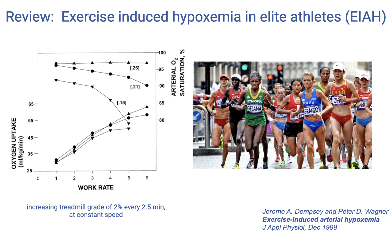 Slide titled "Review: Exercise induced hypoxemia in elite athletes (EIAH)." Left: a graph with work rate on the x-axis, oxygen uptake (mL/kg/min) on the left y-axis, and arterial O2 saturation (%) on the right y-axis. Three curves show different inspired O2 fractions (FIO2 = 0.26, 0.21, 0.15). At normoxia (0.21), O2 uptake plateaus while arterial saturation drops below 95% at high work rates. Right: photo of elite female distance runners competing in a road race. Citation: Dempsey and Wagner, J Appl Physiol, 1999.