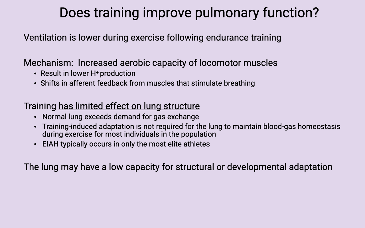Text slide titled "Does training improve pulmonary function?" Top section explains that ventilation is lower during exercise following endurance training due to increased aerobic capacity of locomotor muscles, resulting in lower H+ production and shifted feedback control. Bottom section notes that training has limited effect on lung structure: normal lung function exceeds demands for gas exchange, training-induced adaptation is not required for most individuals, EIAH occurs only in the most elite athletes, and the lung may have low capacity for structural or developmental adaptation.