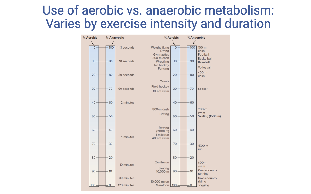 Slide titled "Use of aerobic vs. anaerobic metabolism: varies by exercise intensity and duration." A table with two columns shows percent aerobic and percent anaerobic energy contribution across different exercise durations, from under 10 seconds (nearly all anaerobic) to over 120 minutes (nearly all aerobic). Example activities are listed alongside each duration: 10-second events use mostly anaerobic energy, while events lasting 2+ minutes are predominantly aerobic, with distances like 2-mile runs and longer being nearly 100% aerobic.