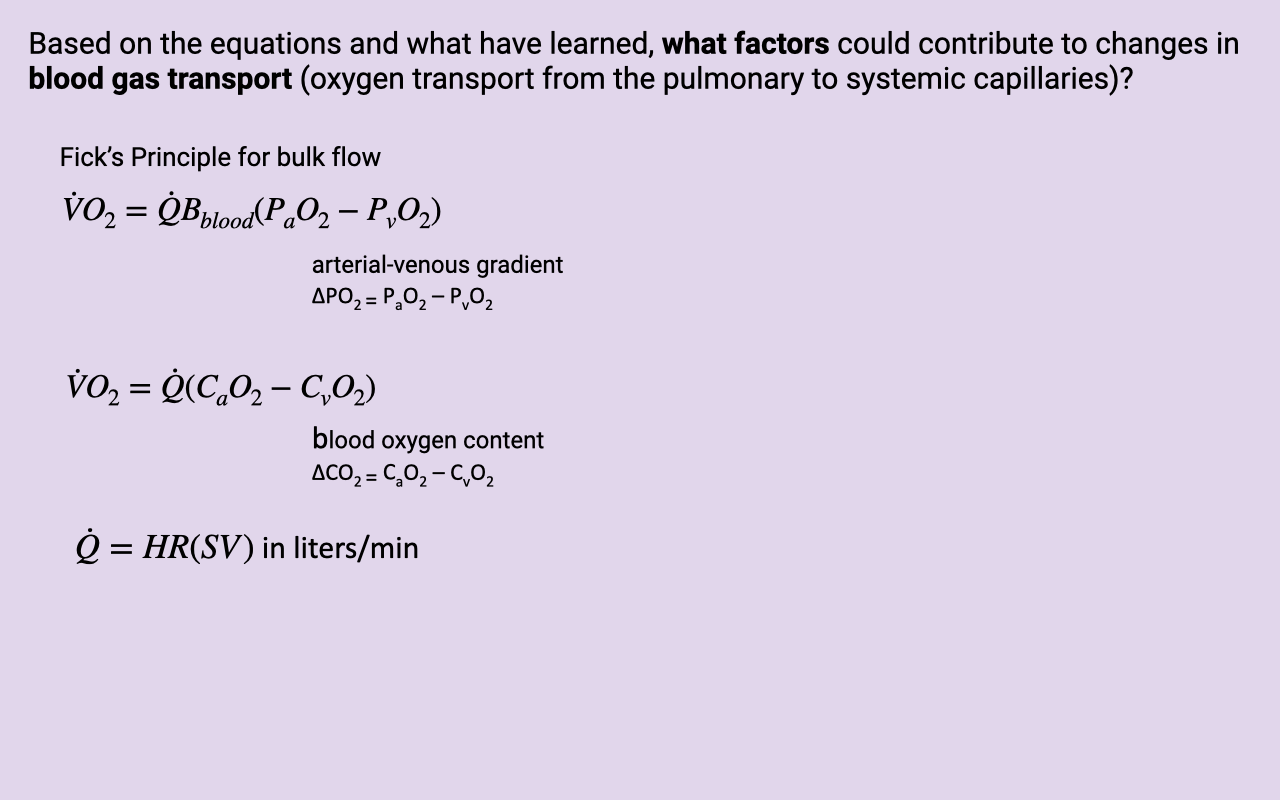 Slide with a lavender background titled "Based on the equations and what have learned, what factors could contribute to changes in blood gas transport (oxygen transport from the pulmonary to systemic capillaries)?" Three forms of the Fick principle for bulk blood flow are listed: VO2 = Q̇·Bblood·(PaO2 − PvO2), VO2 = Q̇(CaO2 − CvO2), and Q̇ = HR(SV) in liters/min. Labels identify the arterial-venous gradient (ΔPO2) and blood oxygen content (ΔCO2).
