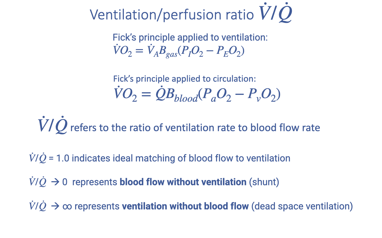 Slide titled "Ventilation/perfusion ratio V̇/Q̇" showing the Fick principle applied to both ventilation and circulation, with equations. Below the equations, four key points define the V/Q ratio: V̇/Q̇ refers to the ratio of ventilation rate to blood flow rate; V̇/Q̇ ≈ 1.0 indicates ideal matching; V̇/Q̇ → 0 represents blood flow without ventilation (shunt); V̇/Q̇ → ∞ represents ventilation without blood flow (dead space ventilation).