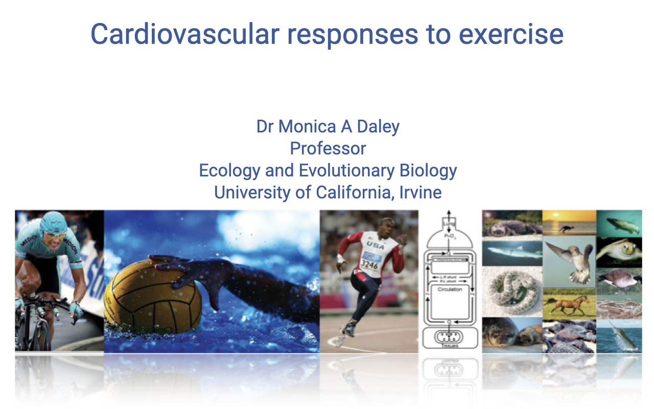 Title slide for "Cardiovascular responses to exercise" by Dr. Monica A. Daley, Professor, Ecology and Evolutionary Biology, University of California, Irvine. Background collage shows diverse animals and humans exercising: a cyclist, water polo ball, speed skater, sea turtle, horse, parrot, fish, and runners.