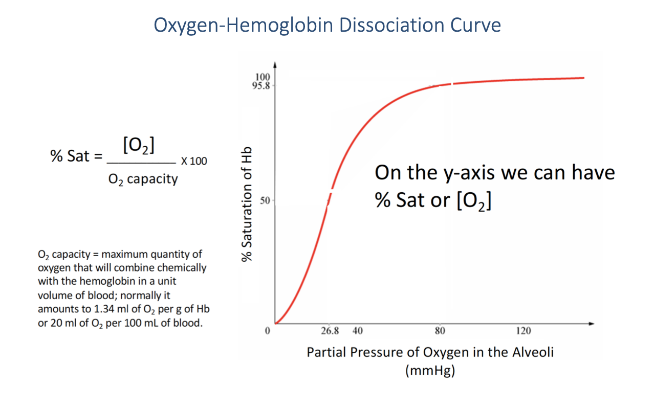 Slide titled "Oxygen-Hemoglobin Dissociation Curve." Left side shows the equation for percent saturation: %Sat = [O2]/O2 capacity × 100, with a note that O2 capacity is the maximum quantity of oxygen that will combine chemically with hemoglobin in a unit volume of blood (normally 1.34 mL O2 per g Hb, or 20 mL O2 per 100 mL of blood). Right side: a sigmoid curve with partial pressure of oxygen (mmHg) on the x-axis (0–120) and % saturation of Hb on the y-axis (0–100). The curve shows a steep rise between 20–60 mmHg and a plateau above 80 mmHg. A note states "On the y-axis we can have % Sat or [O2]."