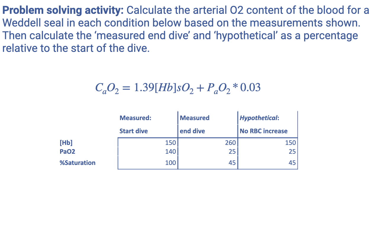 Slide titled "Problem solving activity" with prompt: "Calculate the arterial O₂ content of the blood for a Weddell seal in each condition below based on the measurements shown. Then calculate the 'measured end dive' and 'hypothetical' as a percentage relative to the start of the dive." The equation $C_aO_2 = 1.39[Hb]sO_2 + P_aO_2 \cdot 0.03$ is shown. A three-column table provides input values for three scenarios. Column 1 "Measured: Start dive": [Hb] = 150, PaO₂ = 140, %Saturation = 100. Column 2 "Measured: end dive": [Hb] = 260, PaO₂ = 25, %Saturation = 45. Column 3 "Hypothetical: No RBC increase": [Hb] = 150, PaO₂ = 25, %Saturation = 45.