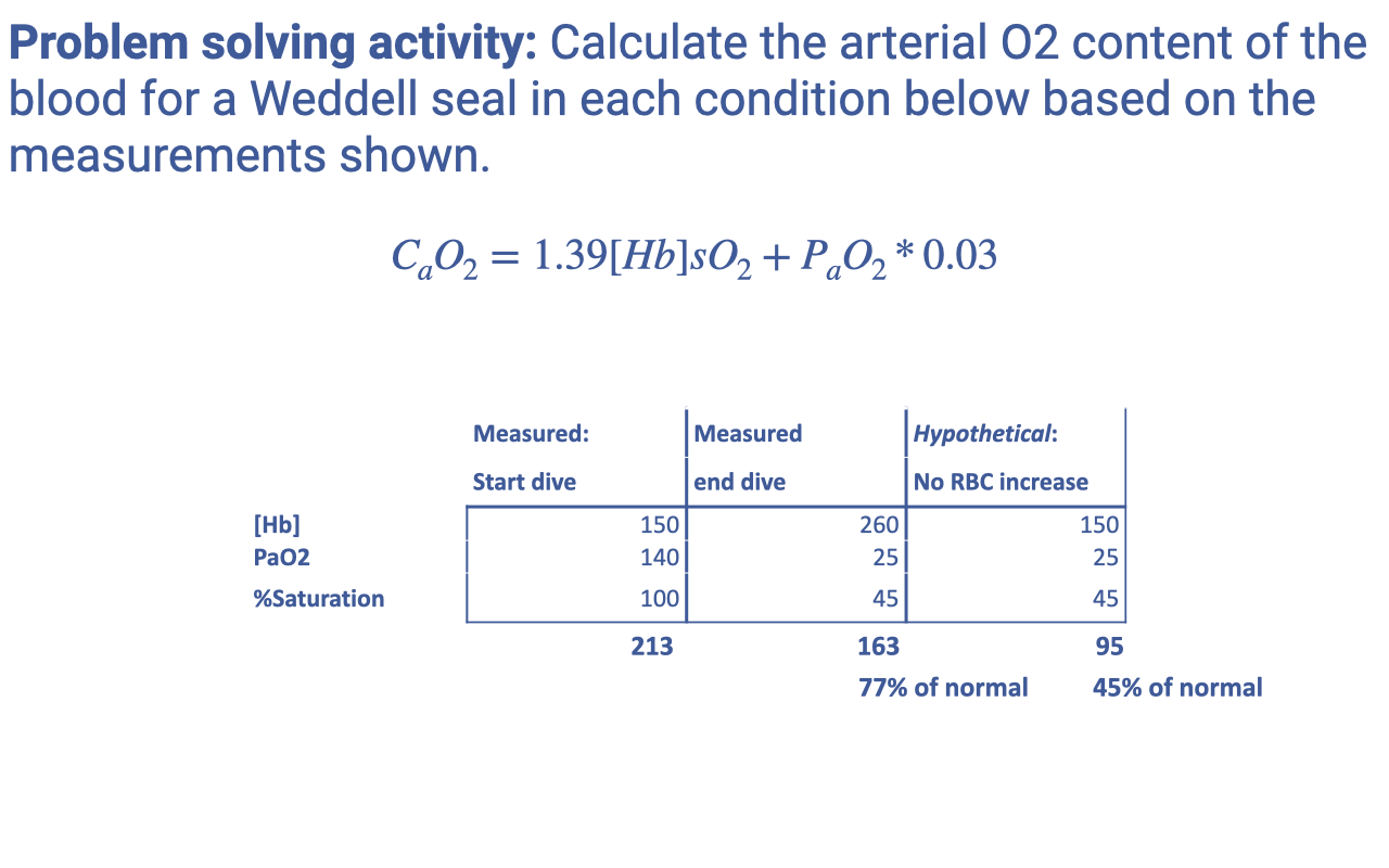 Slide titled "Problem solving activity" showing the worked solution to the Weddell seal CaO₂ problem from the previous slide. Same equation $C_aO_2 = 1.39[Hb]sO_2 + P_aO_2 \cdot 0.03$ and same three-column input table (Start dive: [Hb] 150, PaO₂ 140, sO₂ 100; End dive measured: [Hb] 260, PaO₂ 25, sO₂ 45; Hypothetical no RBC increase: [Hb] 150, PaO₂ 25, sO₂ 45). Below the table, computed totals for arterial O₂ content are: 213 (start dive), 163 (end dive measured) which is 77% of normal, and 95 (hypothetical no RBC increase) which is 45% of normal.