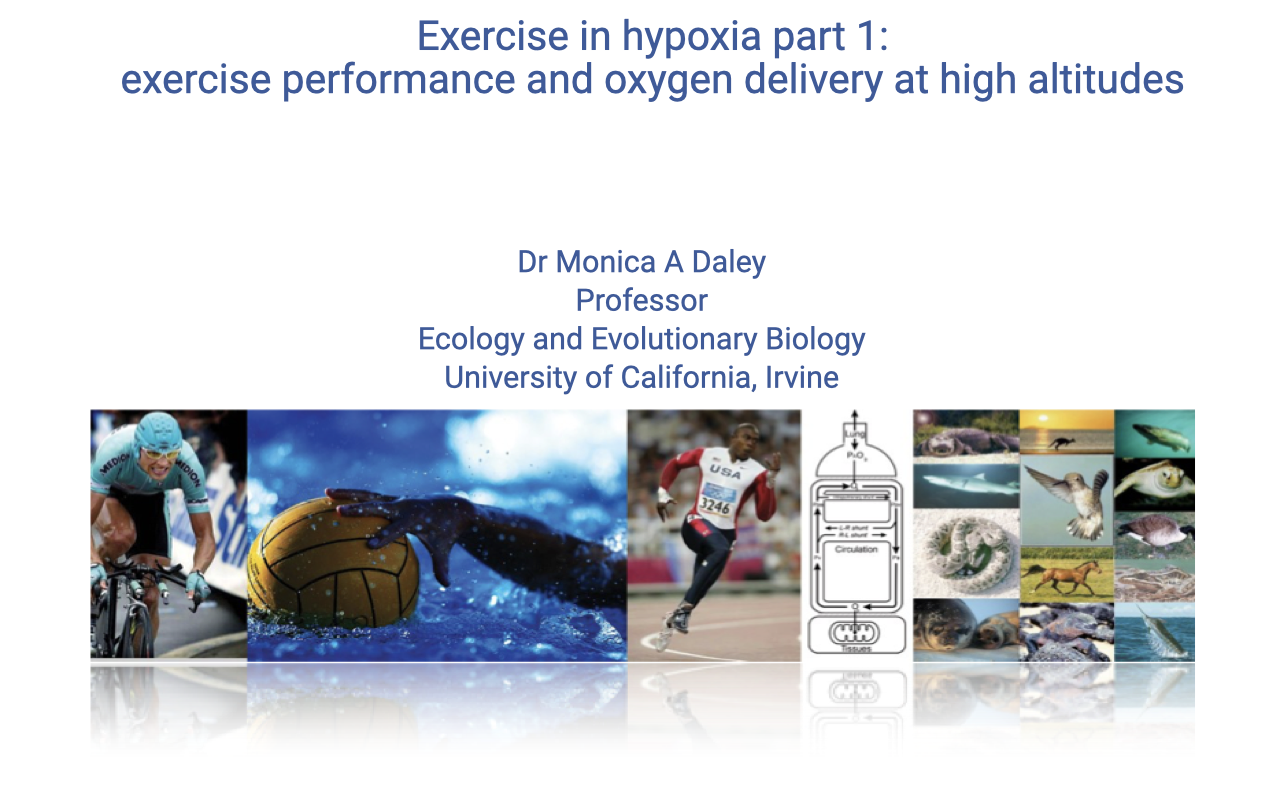 Title slide for "Exercise in hypoxia part 1: exercise performance and oxygen delivery at high altitudes" by Dr. Monica A. Daley, Professor, Ecology and Evolutionary Biology, University of California, Irvine. Background collage shows diverse animals and humans exercising: a cyclist, water polo ball, speed skater, sea turtle, horse, parrot, fish, and runners.