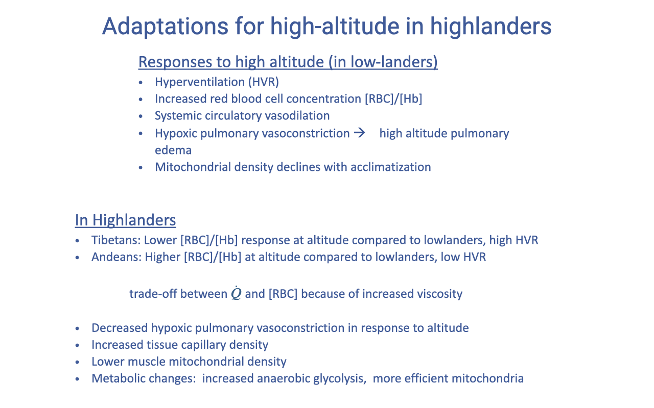 Summary slide titled "Adaptations for high-altitude in highlanders" with two sections. Top: "Responses to high altitude (in low-landers)" listing hyperventilation, increased red blood cell concentration, systemic circulatory vasodilation, hypoxic pulmonary vasoconstriction → high altitude pulmonary edema, mitochondrial density decline with acclimatization. Bottom: "In Highlanders" listing Tibetans (lower [RBC]/[Hb] response, high HVR), Andeans (higher [RBC]/[Hb], low HVR), and the trade-off between cardiac output Q and [RBC] because of increased viscosity. Common features in highlanders: decreased hypoxic pulmonary vasoconstriction, increased tissue capillary density, lower mitochondrial density, metabolic changes (increased anaerobic glycolysis, more efficient mitochondria).