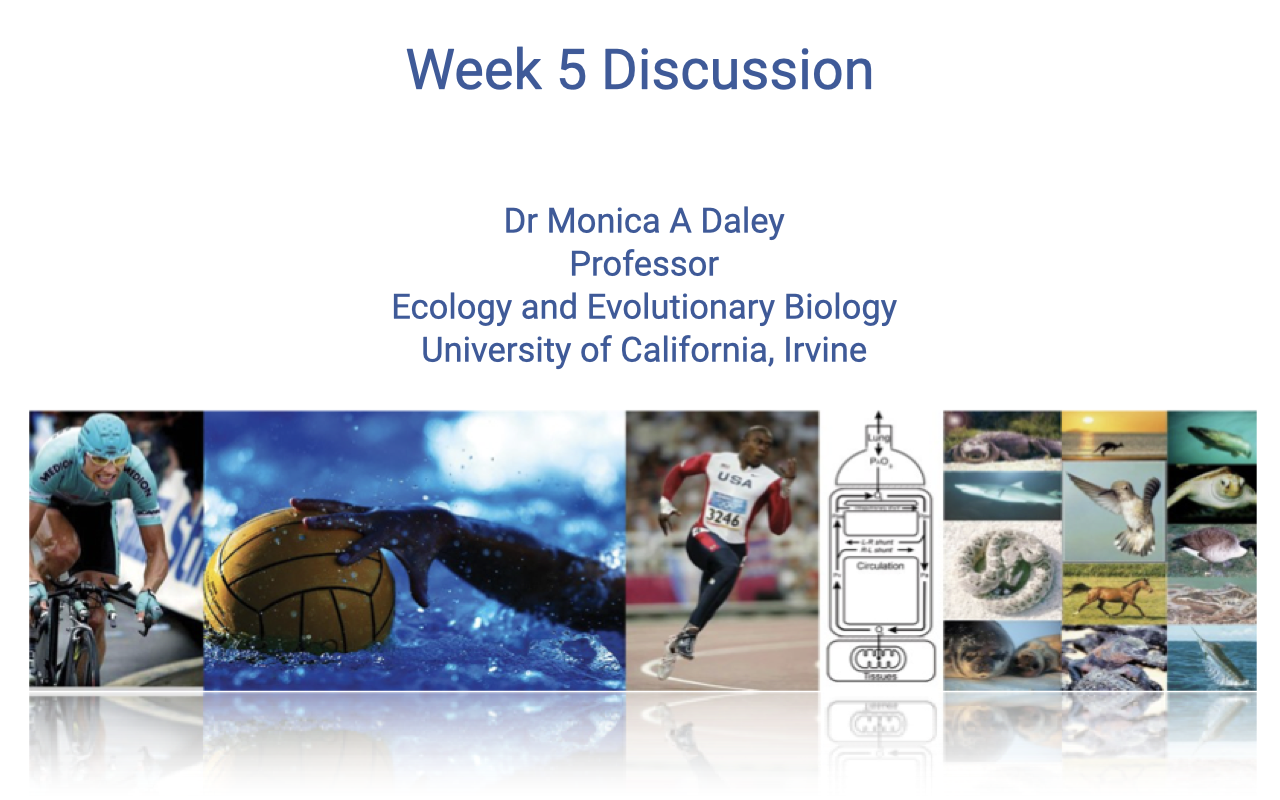 Title slide for "Week 5 Discussion" by Dr. Monica A. Daley, Professor, Ecology and Evolutionary Biology, University of California, Irvine. Background collage shows diverse animals and humans exercising: a cyclist, water polo player, swimmer, sprinter, an oxygen cascade schematic, and a row of comparative species (sea turtle, kangaroo, snake, hummingbird, fish, horse, seal, lizard, croc).