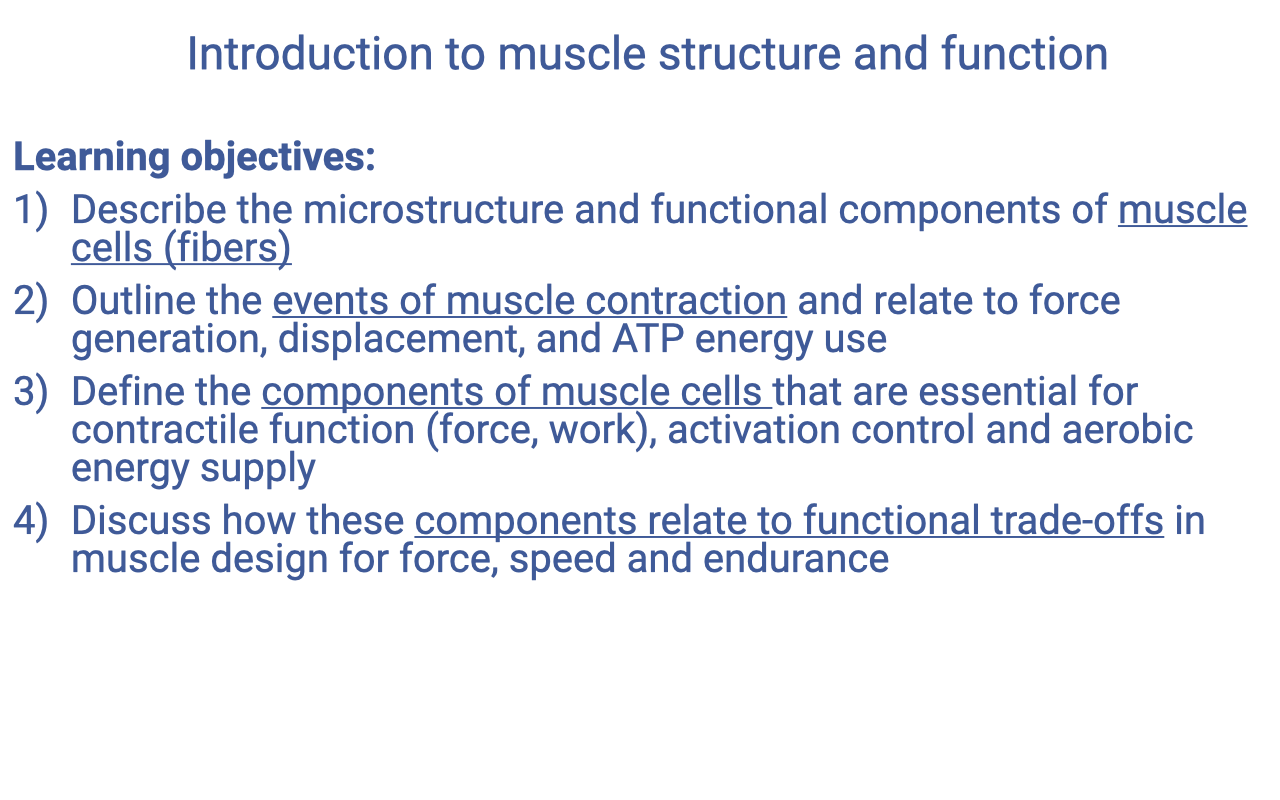 Text slide titled "Introduction to muscle structure and function" listing four learning objectives: (1) describe the microstructure and functional components of muscle cells (fibers); (2) outline the events of muscle contraction and relate to force generation, displacement, and ATP energy use; (3) define the components of muscle cells that are essential for contractile function (force, work), activation control, and aerobic energy supply; (4) discuss how these components relate to functional trade-offs in muscle design for force, speed, and endurance.