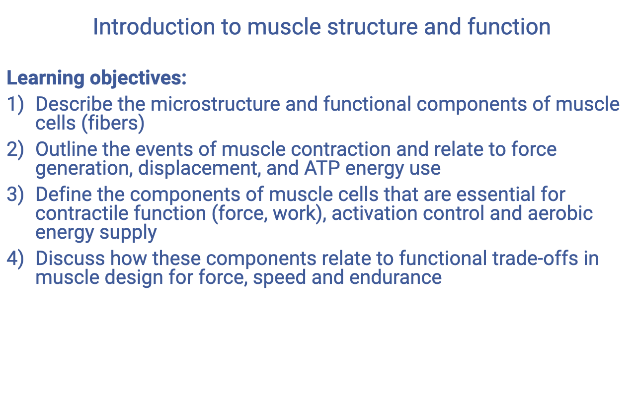 Closing recap slide titled "Introduction to muscle structure and function" listing the four learning objectives again: (1) describe the microstructure and functional components of muscle cells (fibers); (2) outline the events of muscle contraction and relate to force generation, displacement, and ATP energy use; (3) define the components of muscle cells that are essential for contractile function (force, work), activation control, and aerobic energy supply; (4) discuss how these components relate to functional trade-offs in muscle design for force, speed, and endurance.