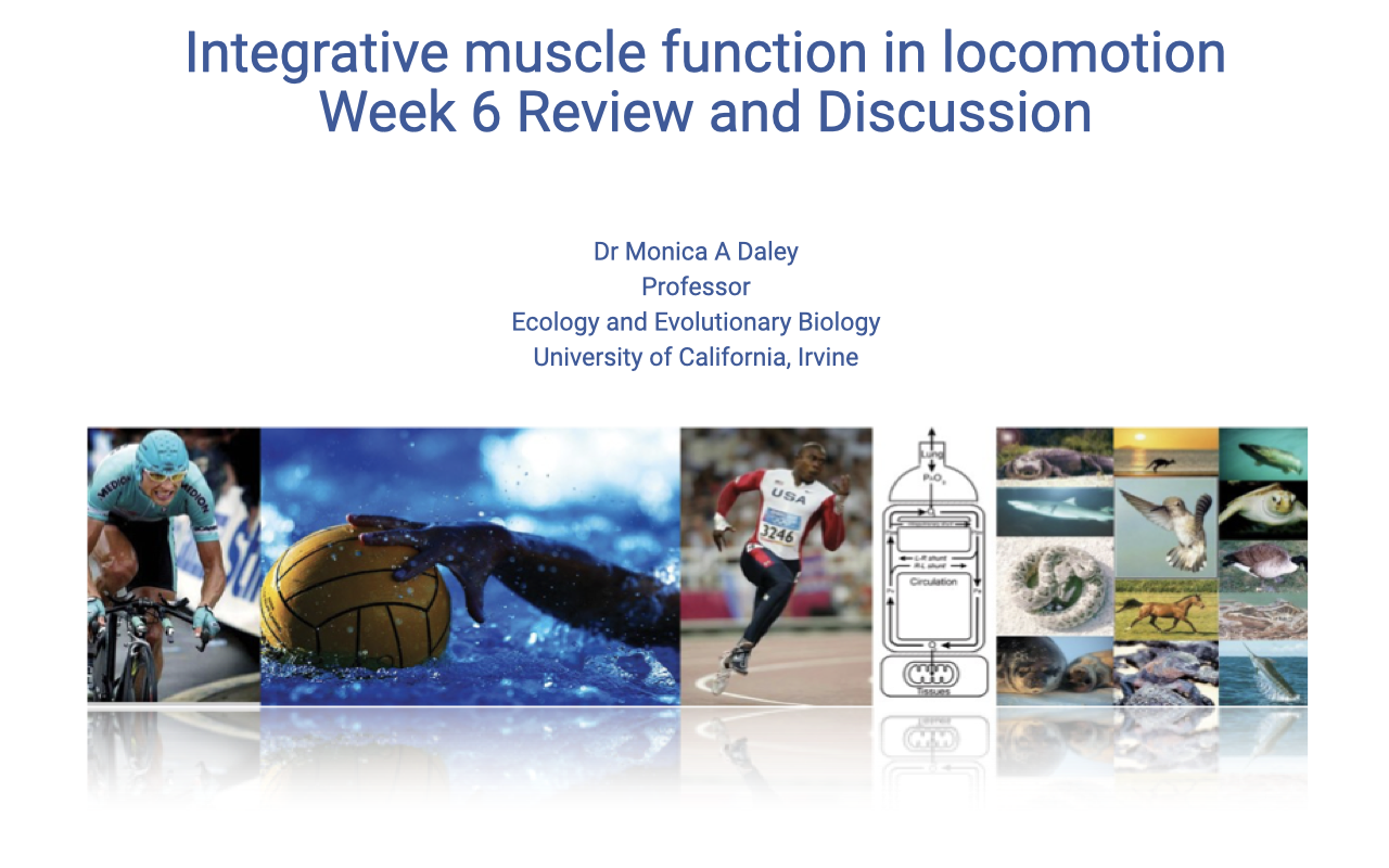 Title slide for "Integrative muscle function in locomotion: Week 6 Review and Discussion" by Dr. Monica A. Daley, Professor, Ecology and Evolutionary Biology, University of California, Irvine. Background collage shows diverse animals and humans exercising: a cyclist, water polo player, sprinter, parrot, oxygen cascade schematic, and a row of comparative species (sea turtle, kangaroo, snake, hummingbird, fish, horse, seal, lizard, croc).