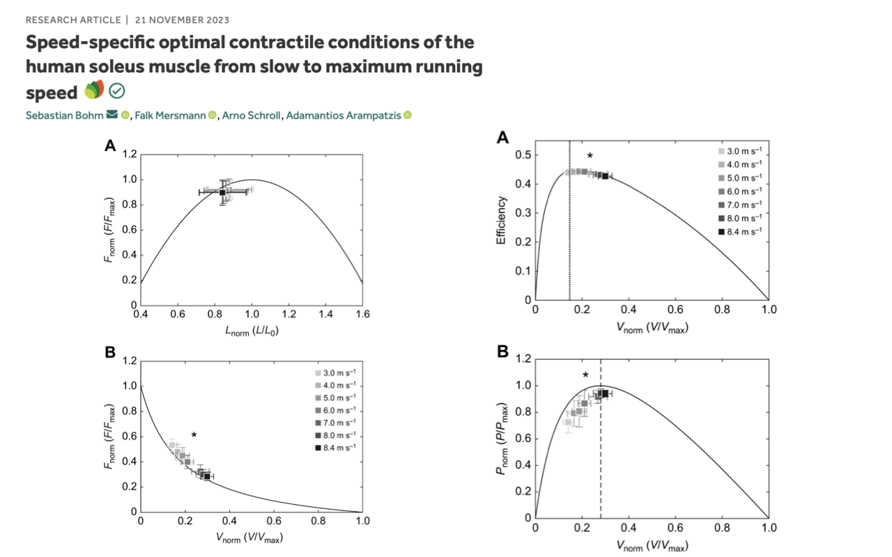 Slide reproducing key panels from "Speed-specific optimal contractile conditions of the human soleus muscle from slow to maximum running speed" (Bohm, Mersmann, Schroll, Arampatzis, 2023). Four panels in a 2x2 grid show measurements at multiple running speeds (3.0, 4.0, 5.0, 6.0, 7.0, 8.0, 8.4 m/s, indicated by shades of gray): (top-left, A) F_norm (F/F_max, 0–1.0) vs. L_norm (L/L_0, 0.4–1.6) on the active F-L curve, with data points clustering at L/L_0 ~0.8–1.0; (top-right, A) Efficiency (0–0.5) vs. V_norm (V/V_max, 0–1.0), with most data points near V/V_max ~0.2 (the peak-efficiency region); (bottom-left, B) F_norm vs. V_norm on the F-V curve, showing operating points at progressively higher velocities at faster running speeds; (bottom-right, B) P_norm (P/P_max, 0–1.2) vs. V_norm, with the operating points at fastest running speeds approaching the optimum velocity (~0.3) for peak power.
