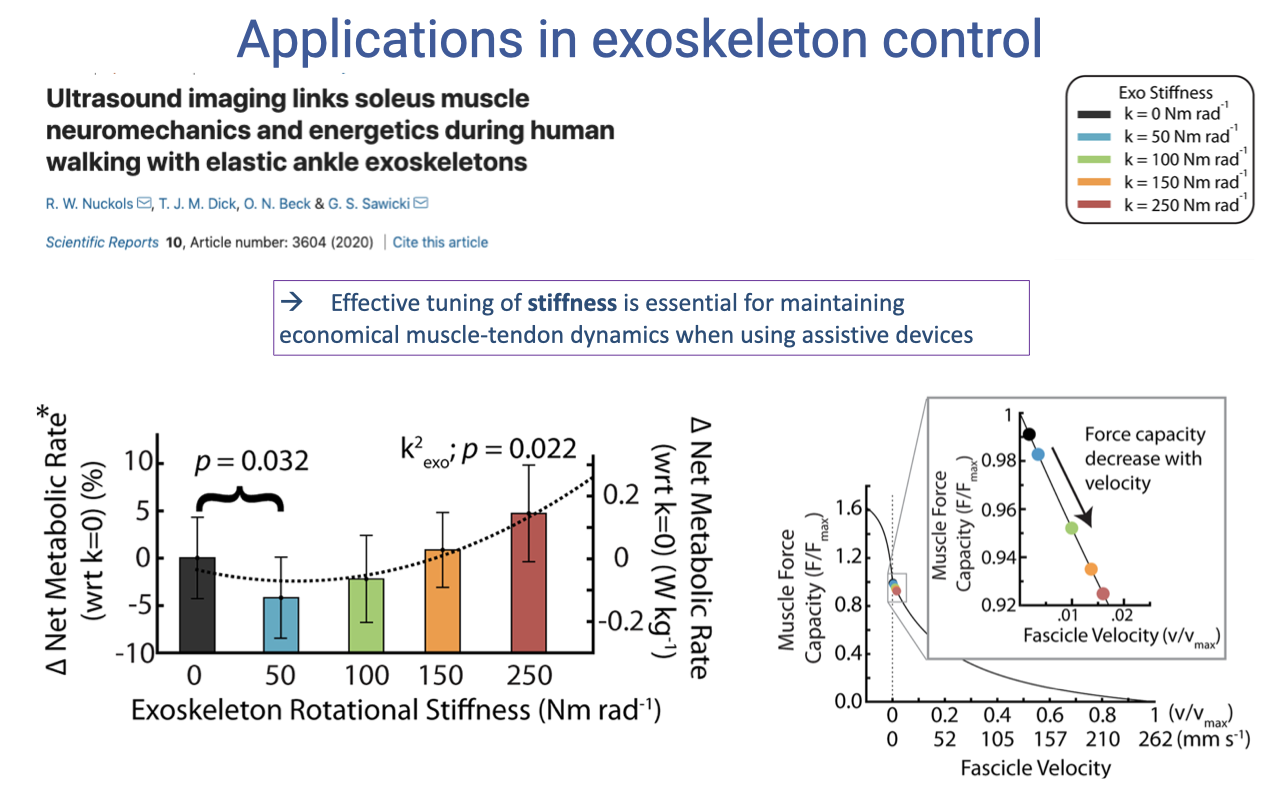 Slide titled "Applications in exoskeleton control" with the same Nuckols et al. 2020 paper title at top. Below, a bar plot on the left shows the change in net metabolic rate (% relative to k = 0) for five exoskeleton rotational stiffness values (0, 50, 100, 150, 250 Nm rad⁻¹), with significant decrease at k = 50 (p = 0.032), then a U-shaped recovery as stiffness increases (k² term, p = 0.022). On the right: a force–velocity curve (F/F_max vs. v/v_max) of the underlying muscle, with the five exoskeleton stiffness levels marked at progressively higher fascicle velocities; an inset zooms in on the small fascicle-velocity region (0–0.02 v/v_max), showing decreasing force capacity with increasing velocity. A highlighted box reads: "Effective tuning of stiffness is essential for maintaining economical muscle-tendon dynamics when using assistive devices."