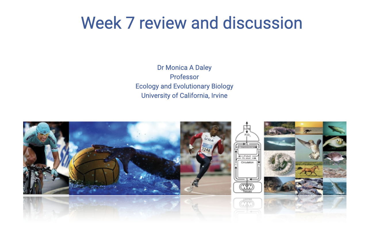 Title slide for "Week 7 review and discussion" by Dr. Monica A. Daley, Professor, Ecology and Evolutionary Biology, University of California, Irvine. Background collage shows diverse exercise and species images: a cyclist, water polo player, sprinter, an oxygen cascade schematic, and a row of comparative species (sea turtle, kangaroo, snake, hummingbird, fish, horse, seal, lizard, crocodile).