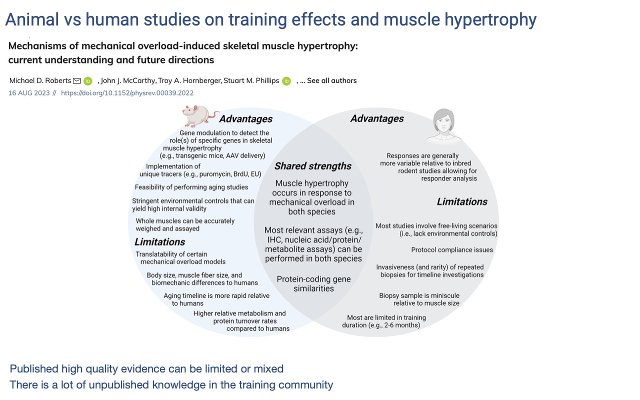Slide titled "Animal vs human studies on training effects and muscle hypertrophy" reproducing a Venn diagram from Roberts et al. 2023 (Physiological Reviews). Left circle (rodent): advantages — gene modulation, unique tracers, feasibility of aging studies, stringent environmental controls, whole-muscle assays; limitations — translatability, body and muscle size differences, faster aging timeline, higher metabolism and protein turnover. Right circle (human): advantages — more variable responses suit responder analysis; limitations — free-living scenarios, protocol compliance, invasive repeated biopsies, miniscule biopsy samples, short training durations (2–6 months). Center (shared strengths): hypertrophy occurs in both species, most assays work in both, protein-coding gene similarities. Footer: "Published high quality evidence can be limited or mixed; there is a lot of unpublished knowledge in the training community."