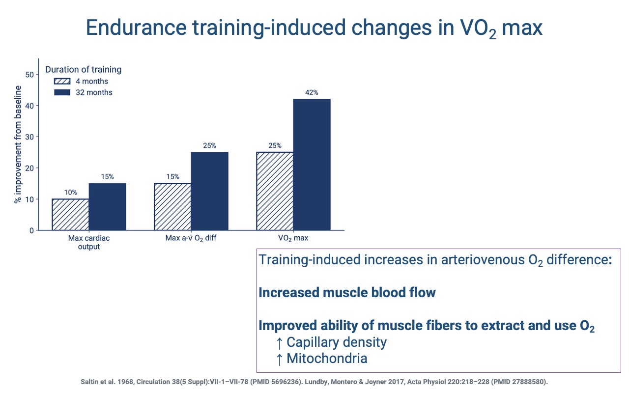 Slide titled "Endurance training-induced changes in VO2 max" showing a grouped bar chart of % improvement from baseline for three variables (Max cardiac output, Max a-v O2 difference, VO2 max) at two training durations (4 months — hatched; 32 months — solid blue). At 4 months: ~10%, ~15%, ~25%. At 32 months: ~15%, ~25%, ~42%. Side annotation: "Training-induced increases in arteriovenous O2 difference: increased muscle blood flow; improved ability of muscle fibers to extract and use O2 (capillary density, mitochondria)." Citations: Saltin et al. 1968 (PMID 5696236); Lundby, Montero & Joyner 2017 (PMID 27888580).