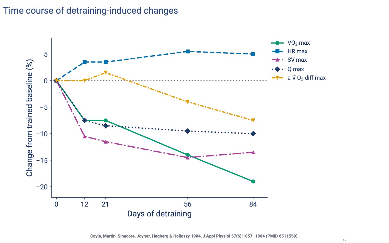 Slide titled "Time course of detraining-induced changes" plotting % change from trained baseline vs. days of detraining (0, 12, 21, 56, 84) for five variables: VO2 max (green), HR max (blue), SV max (magenta), Q max (navy), a-v O2 diff max (yellow). Stroke volume drops fastest (~−10% by day 12). VO2 max and Q max follow similar trajectories. HR max increases slightly. The a-v O2 difference declines slowly, falling sharply only between days 56 and 84. Citation: Coyle, Martin, Sinacore, Joyner, Hagberg & Holloszy 1984 (PMID 6511559).