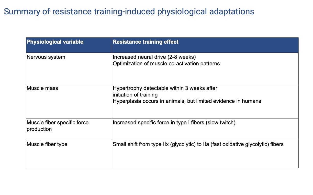 Slide titled "Summary of resistance training-induced physiological adaptations" showing a four-row table. Nervous system: increased neural drive (2–8 weeks), optimization of co-activation patterns. Muscle mass: hypertrophy detectable within 3 weeks; hyperplasia in animals but limited evidence in humans. Muscle fiber specific force production: increased specific force in type I (slow twitch) fibers. Muscle fiber type: small shift from type IIx (glycolytic) to IIa (fast oxidative glycolytic).
